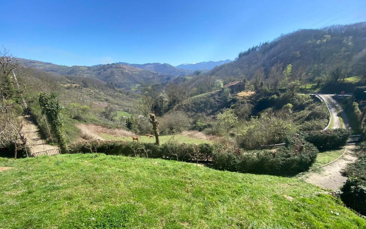 Loft 80 Mts En Un Entorno Natural. Mieres  Εξωτερικό φωτογραφία