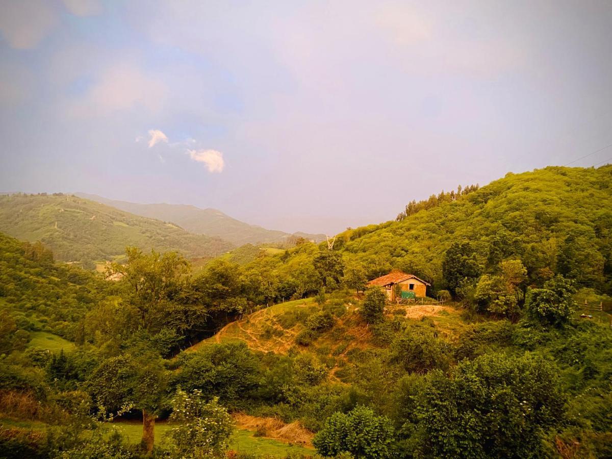 Loft 80 Mts En Un Entorno Natural. Mieres  Εξωτερικό φωτογραφία