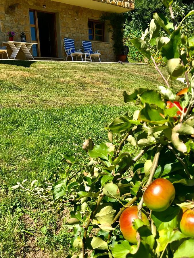 Loft 80 Mts En Un Entorno Natural. Mieres  Εξωτερικό φωτογραφία